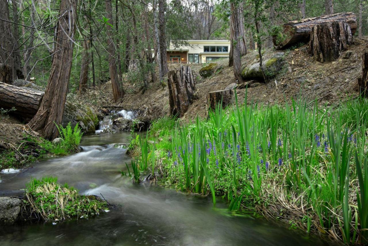 Villa 11R Spring Meadow Retreat Wawona Esterno foto